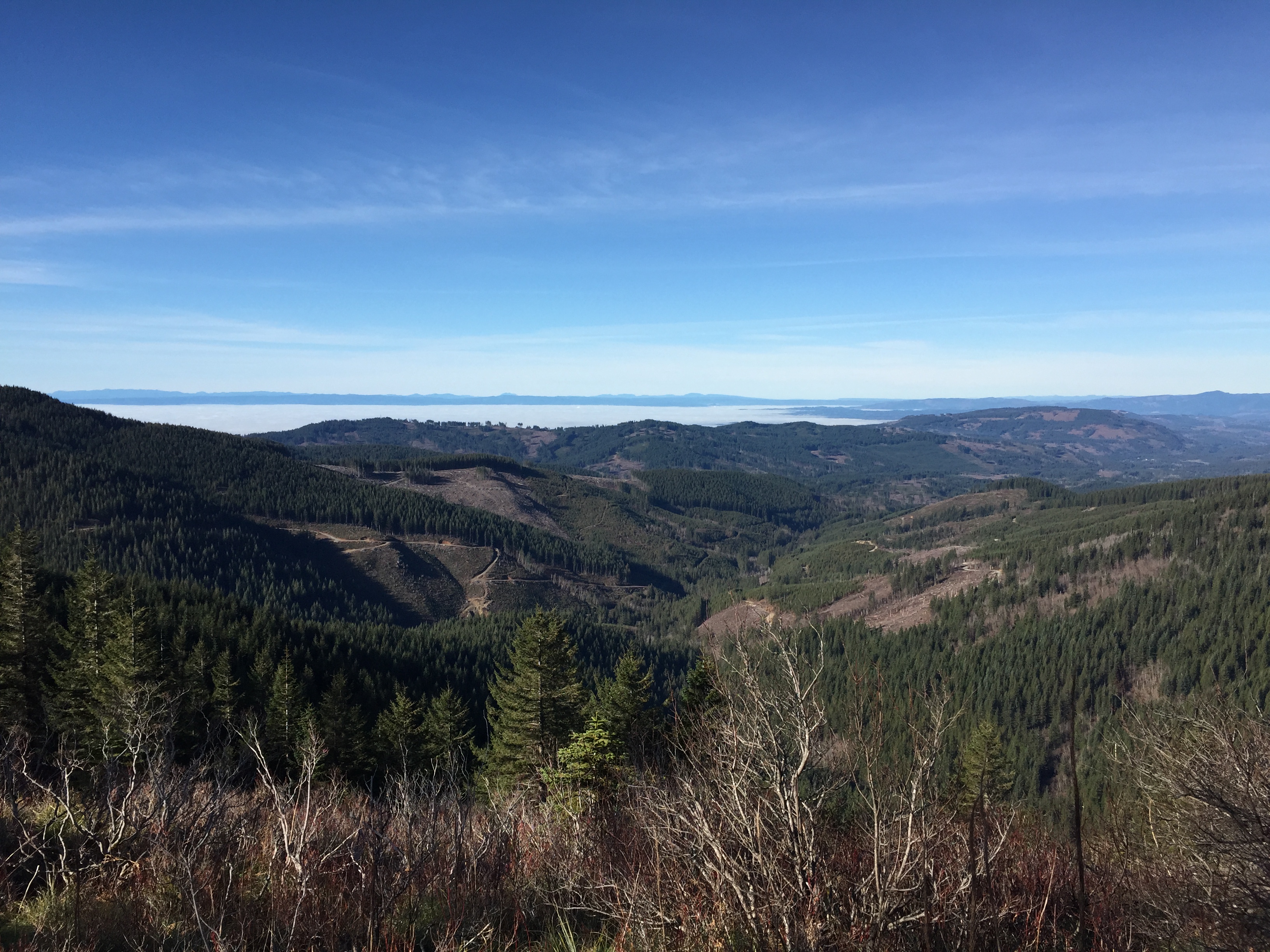 Silver Star Mountain via Grouse Vista Trail