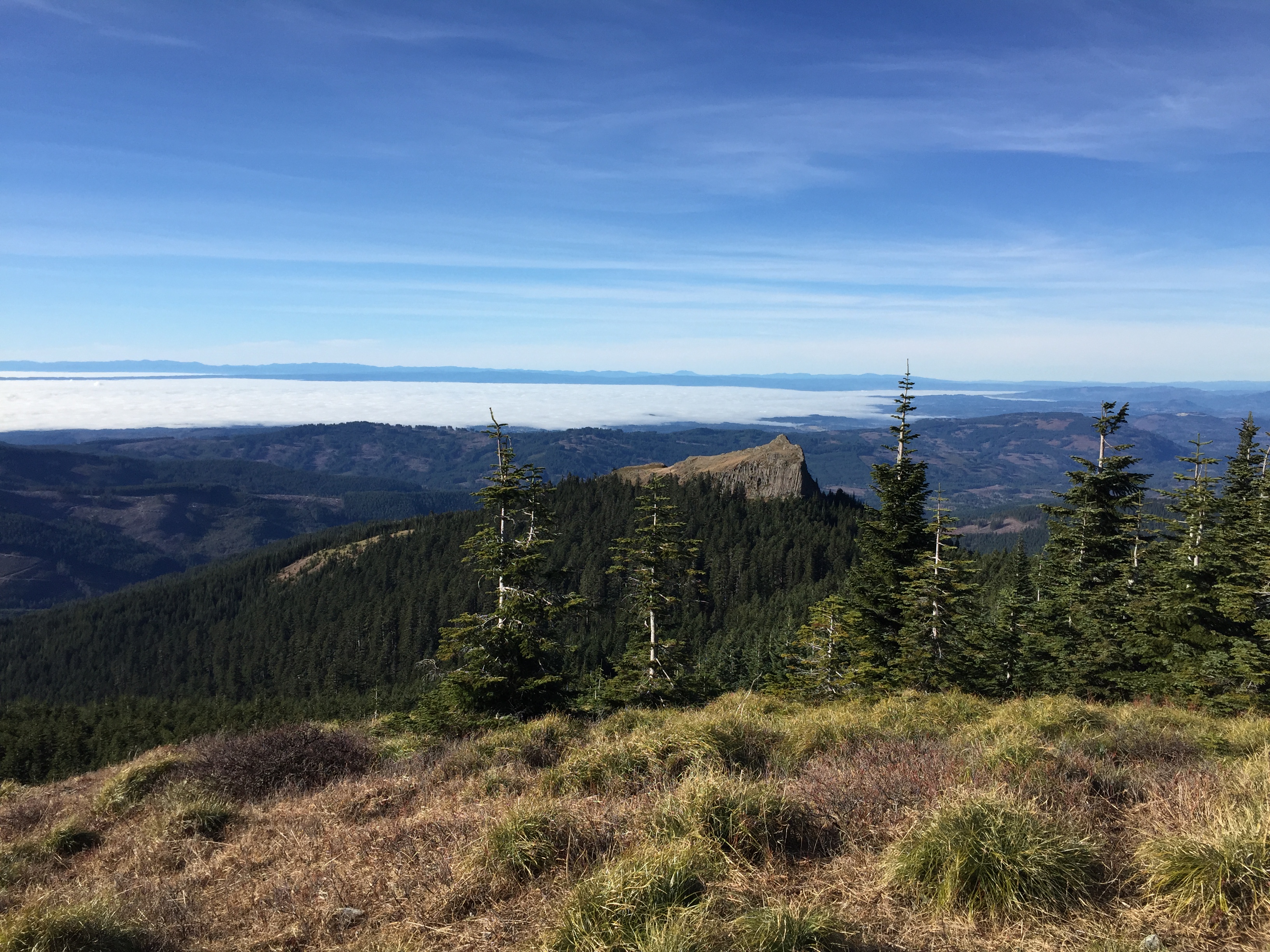 Silver Star Mountain via Grouse Vista Trail