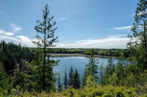 Ridgeview Lake Loop