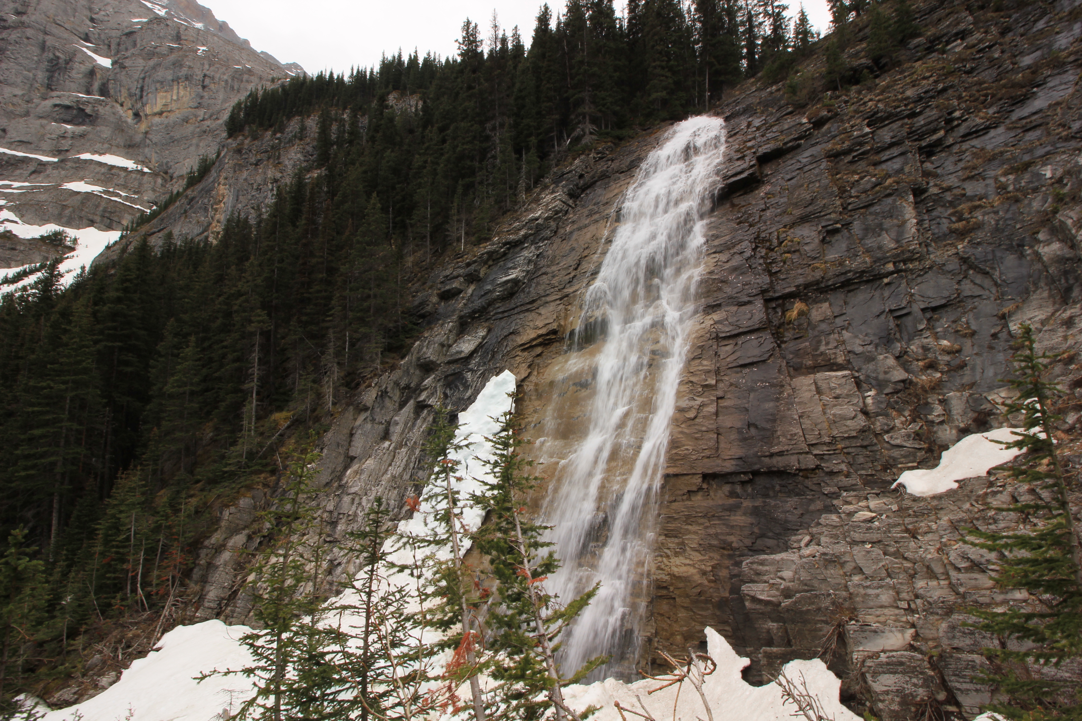Hike to Ribbon Falls , Kananaskis, Alberta