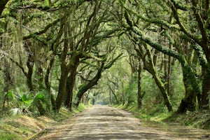 Explore Botany Bay