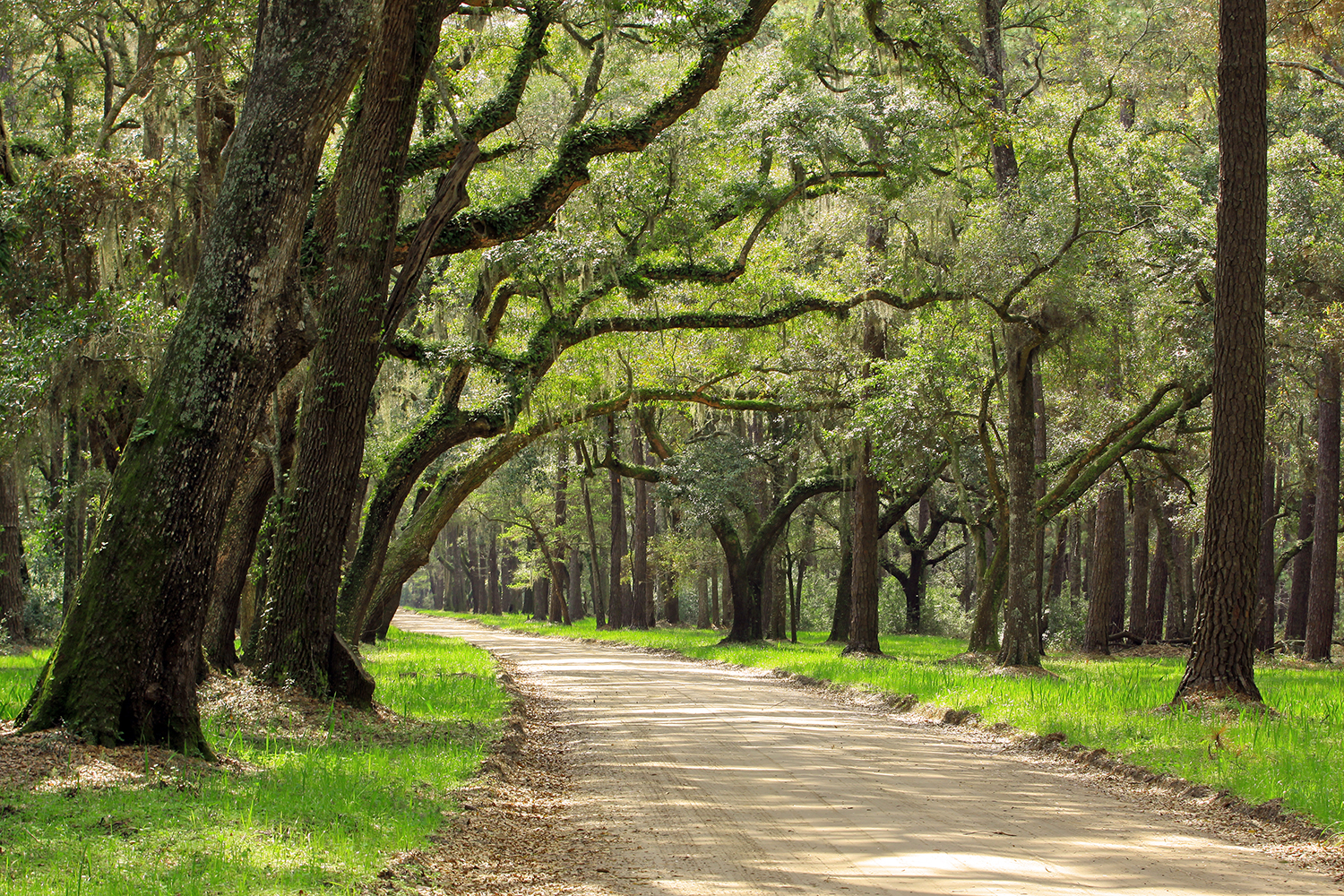 Explore Botany Bay