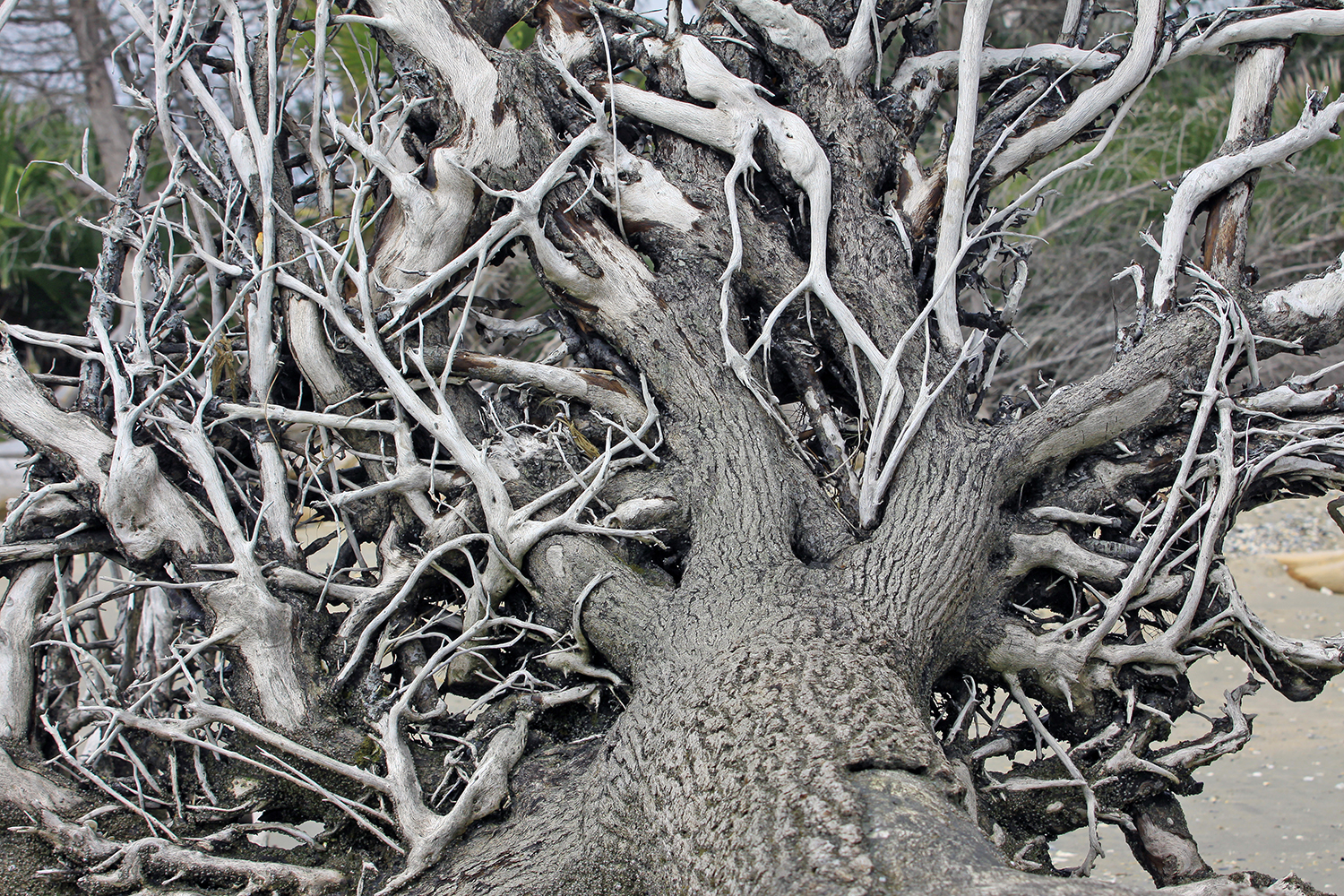 Explore Botany Bay