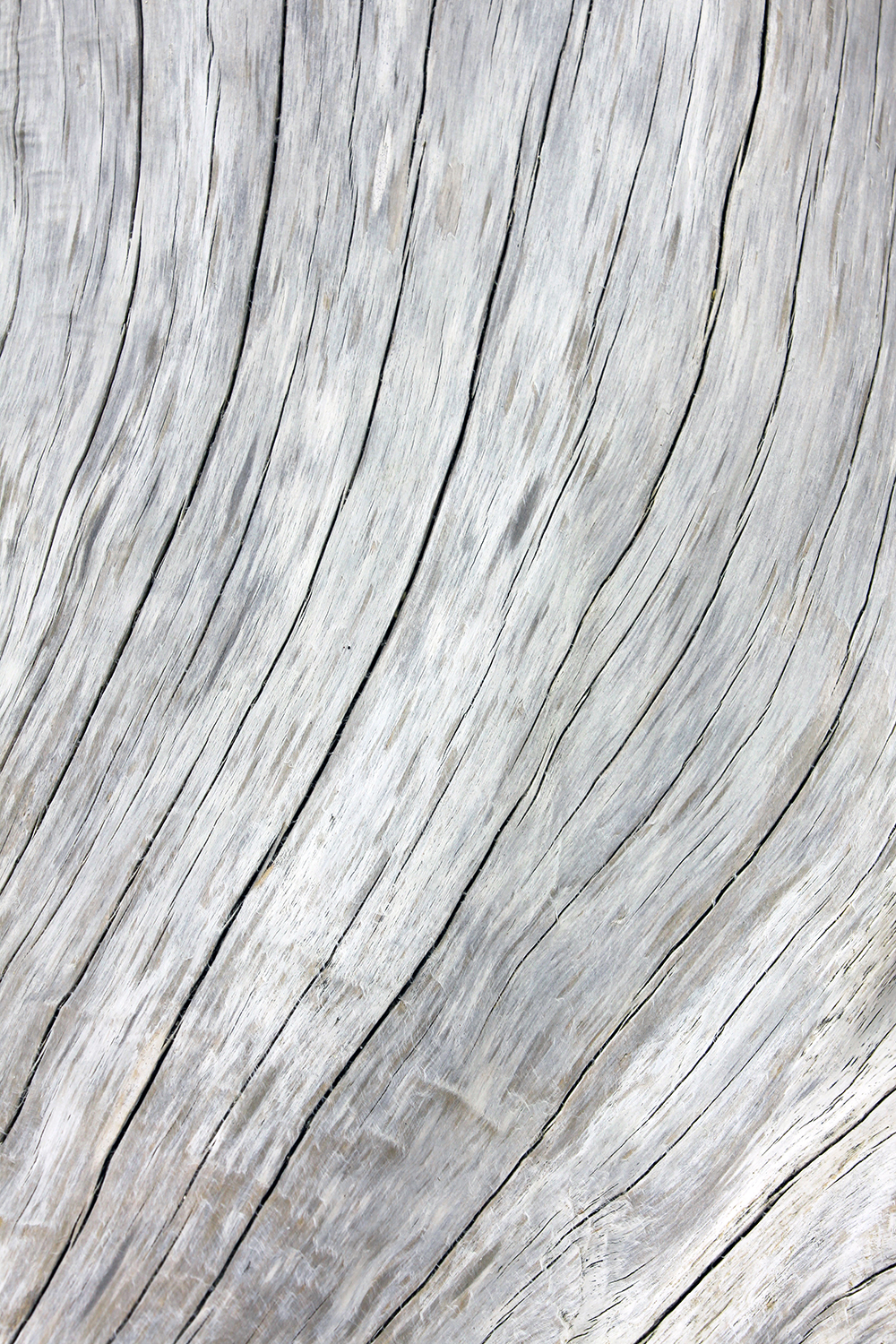 Explore Botany Bay