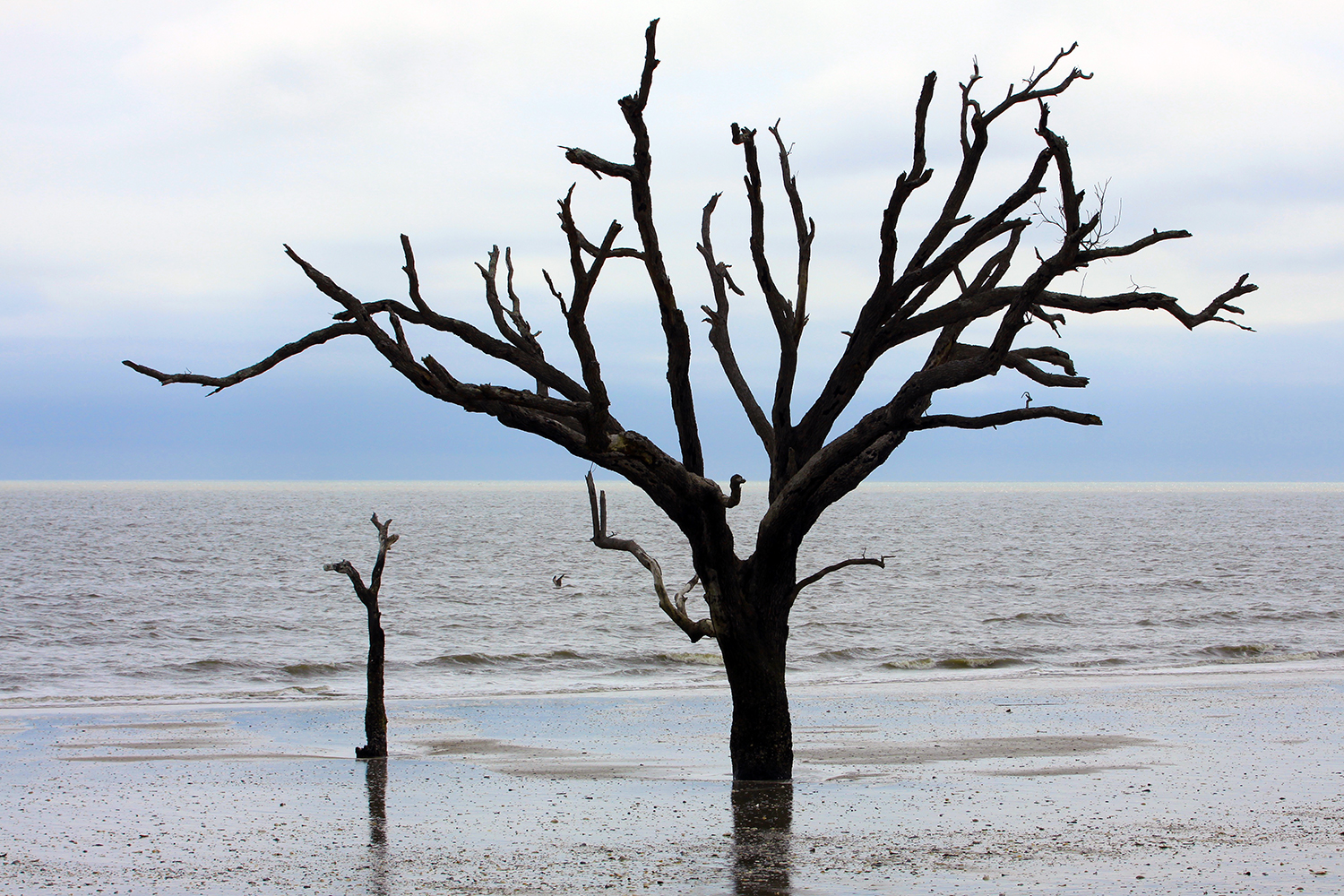 Explore Botany Bay