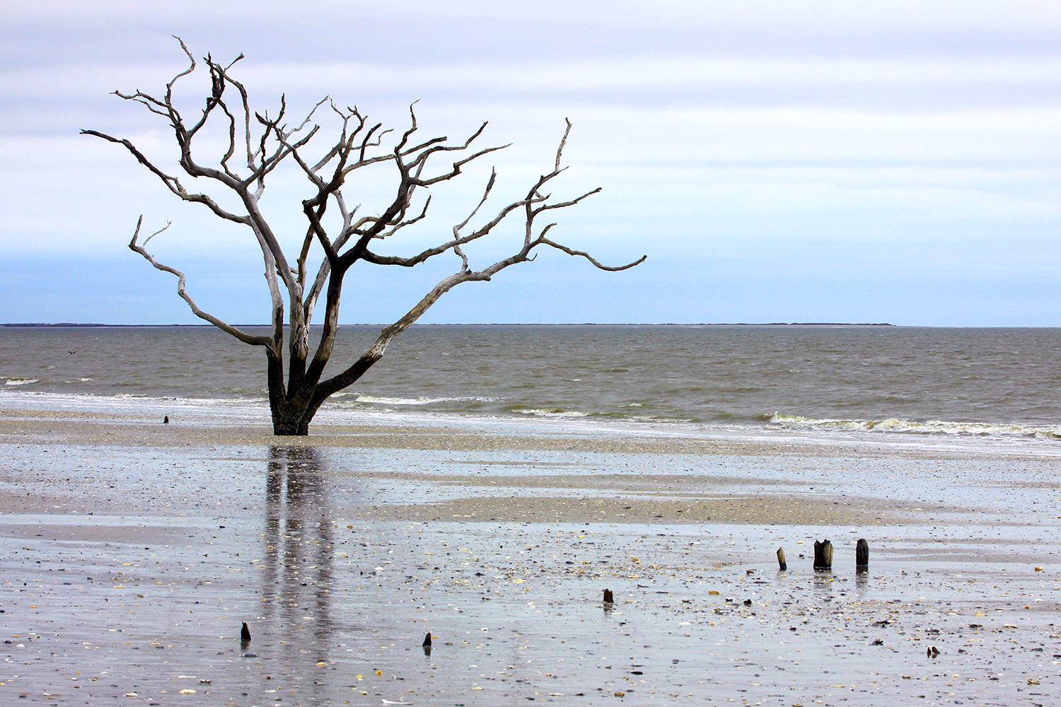 Explore Botany Bay