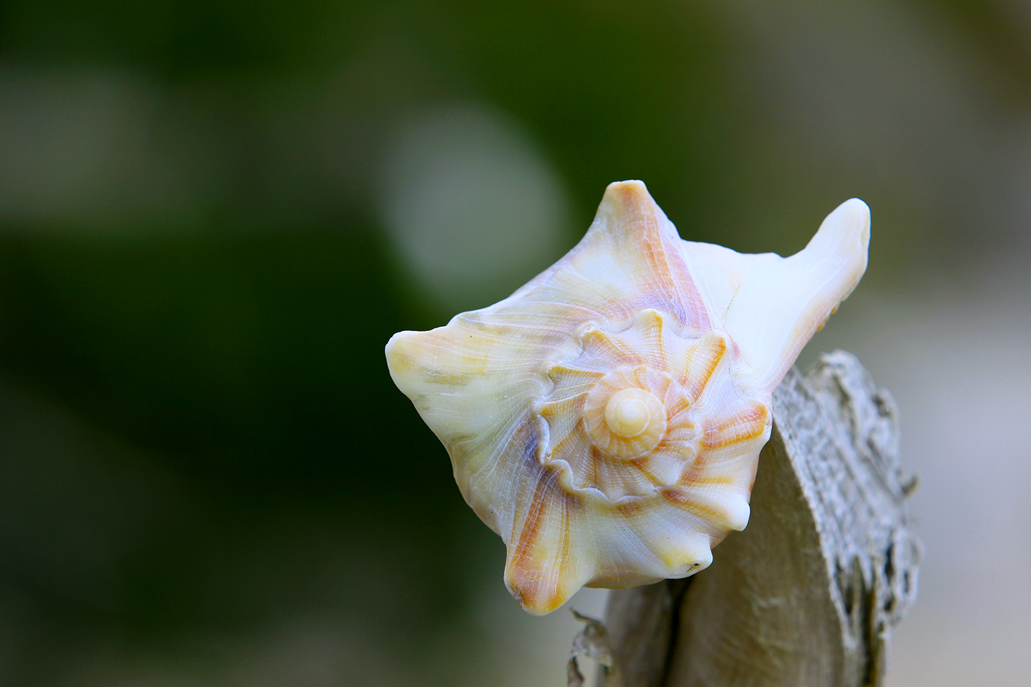 Explore Botany Bay