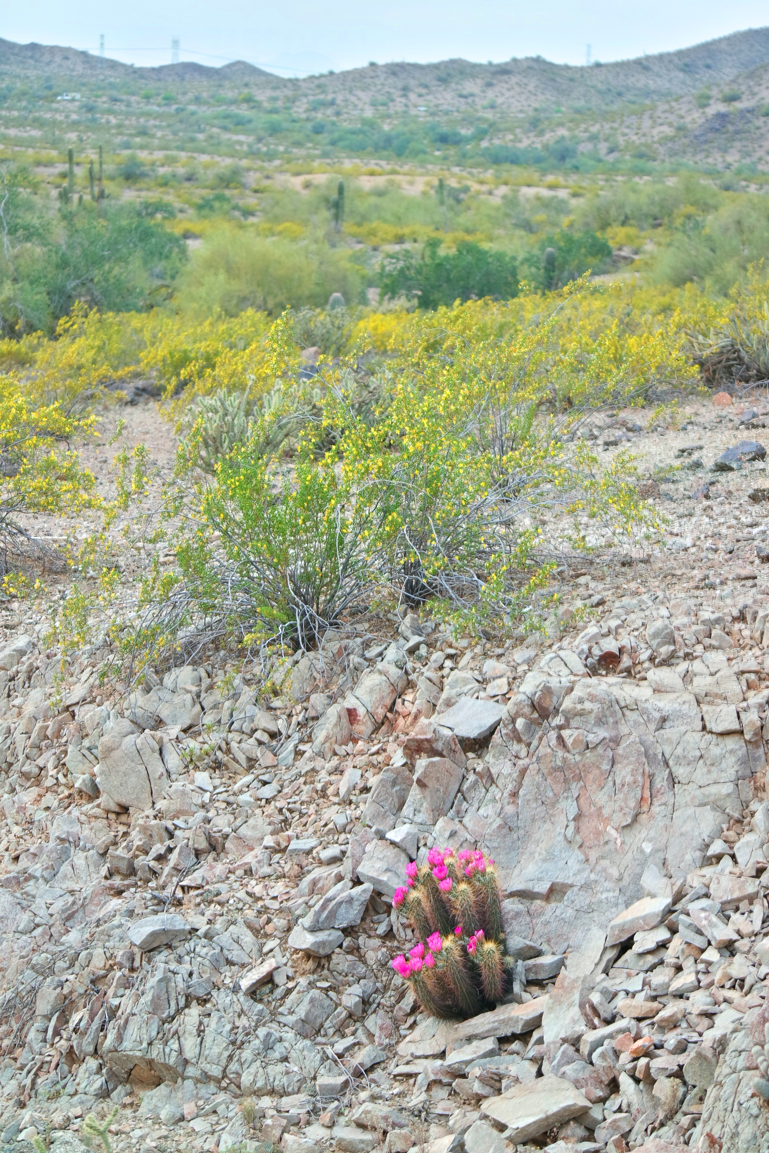 Hike Estrella Mountain's Baseline Trail