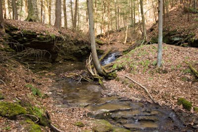 Hike to Slippery Rock Creek from Hell's Hollow