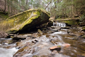 Hike to Slippery Rock Creek from Hell's Hollow