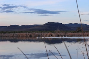 Visit the Stillwater National Wildlife Refuge