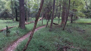 Mountain Bike Croft State Park
