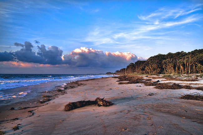 Hunting Island State Park