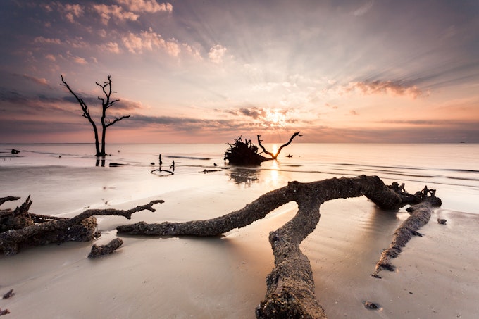 Large tree branch lying on the sand with a flat ocean in the background under a dark purple and peach colored sky at Hunting Island State Park.
