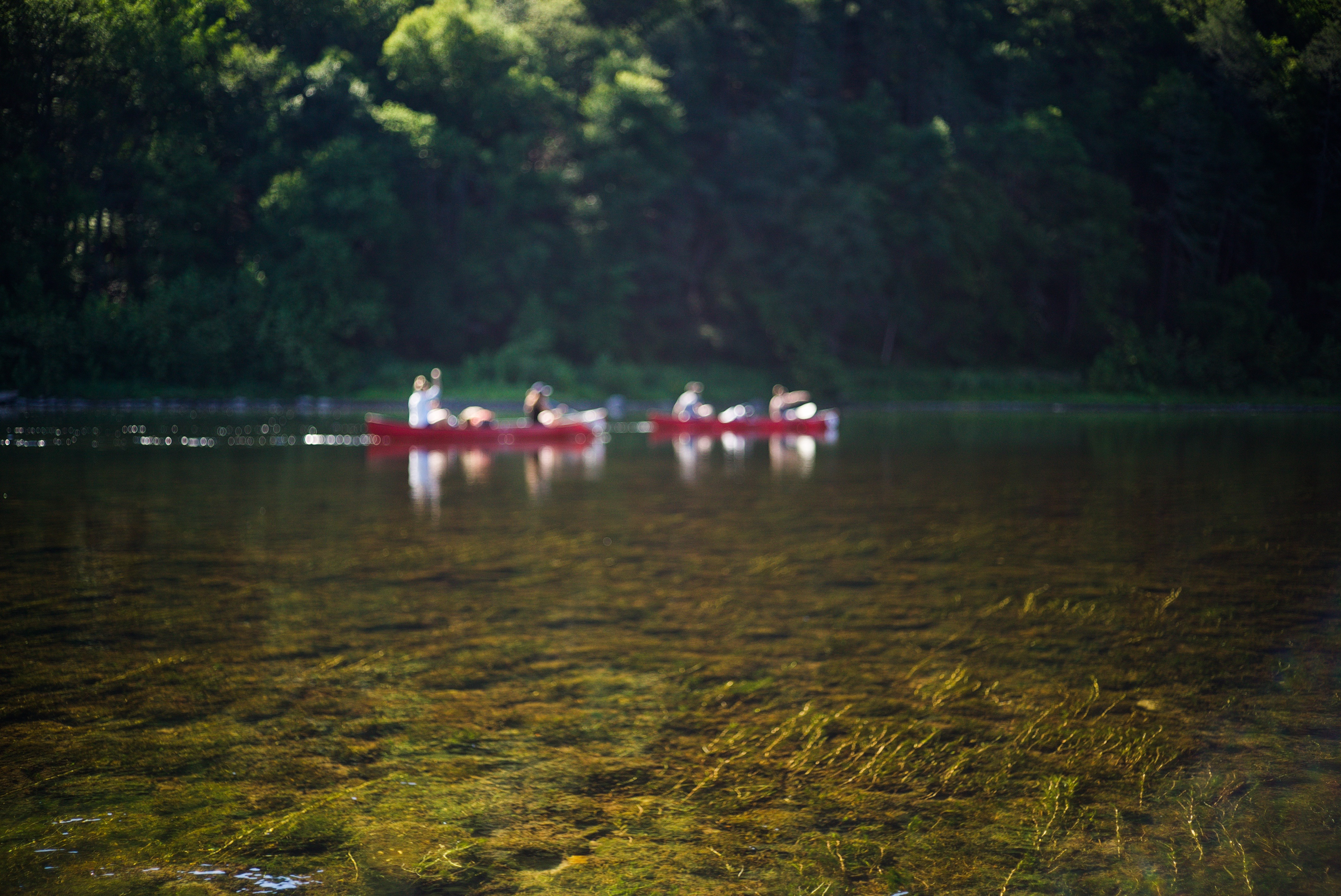 Canoe and Camp in the Delaware Water Gap