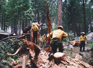 8 Things That Will Convince You To Join A Trail Crew This Summer