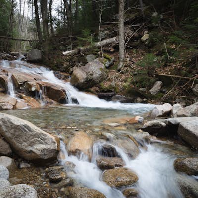 Hike Falling Waters Trail