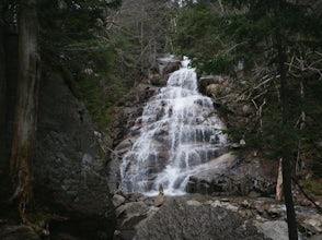 Hike Falling Waters Trail