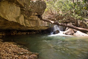 Hike the Sugar Run Trail