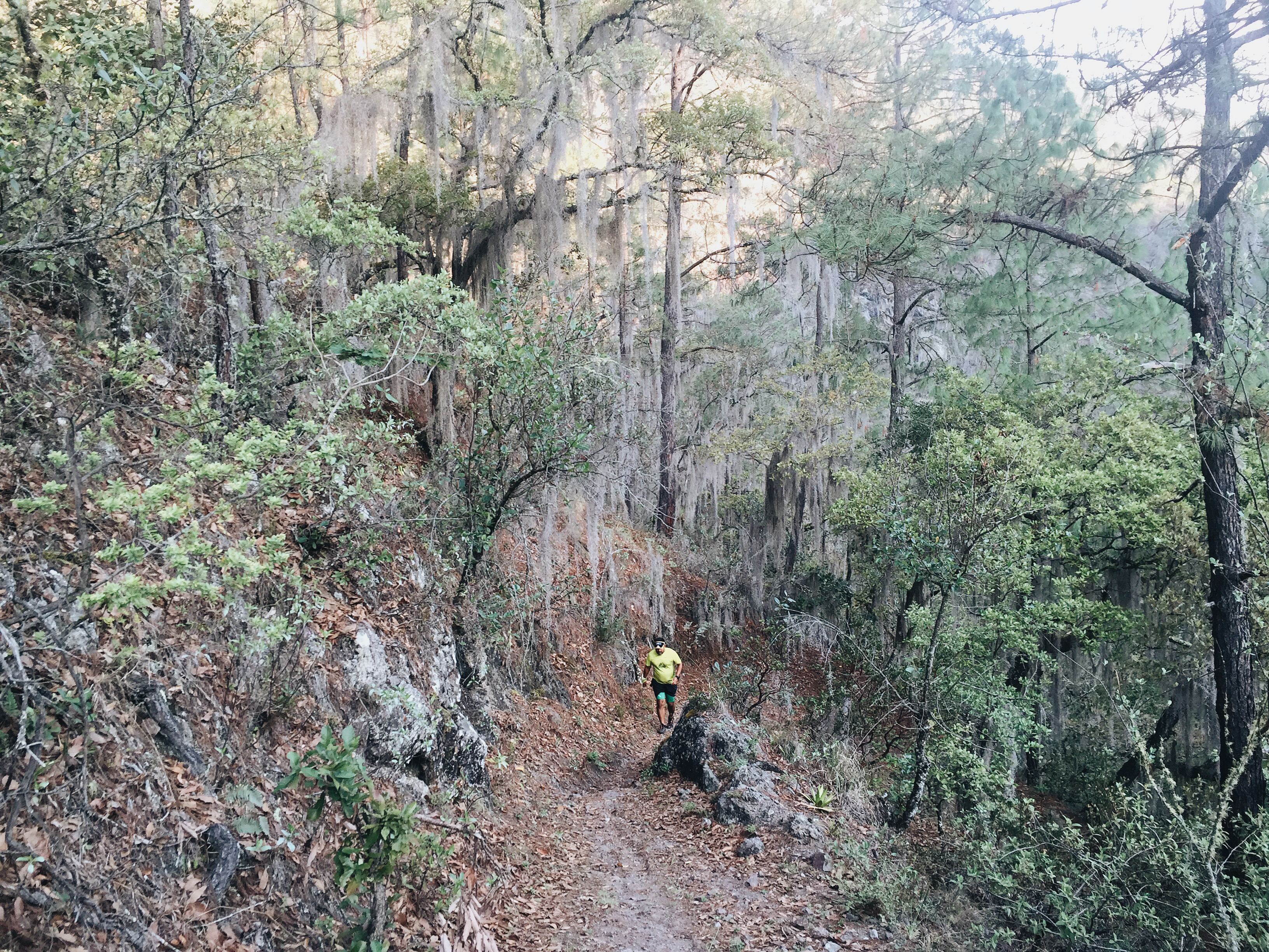 Camino Real from Amatlán to Latuvi