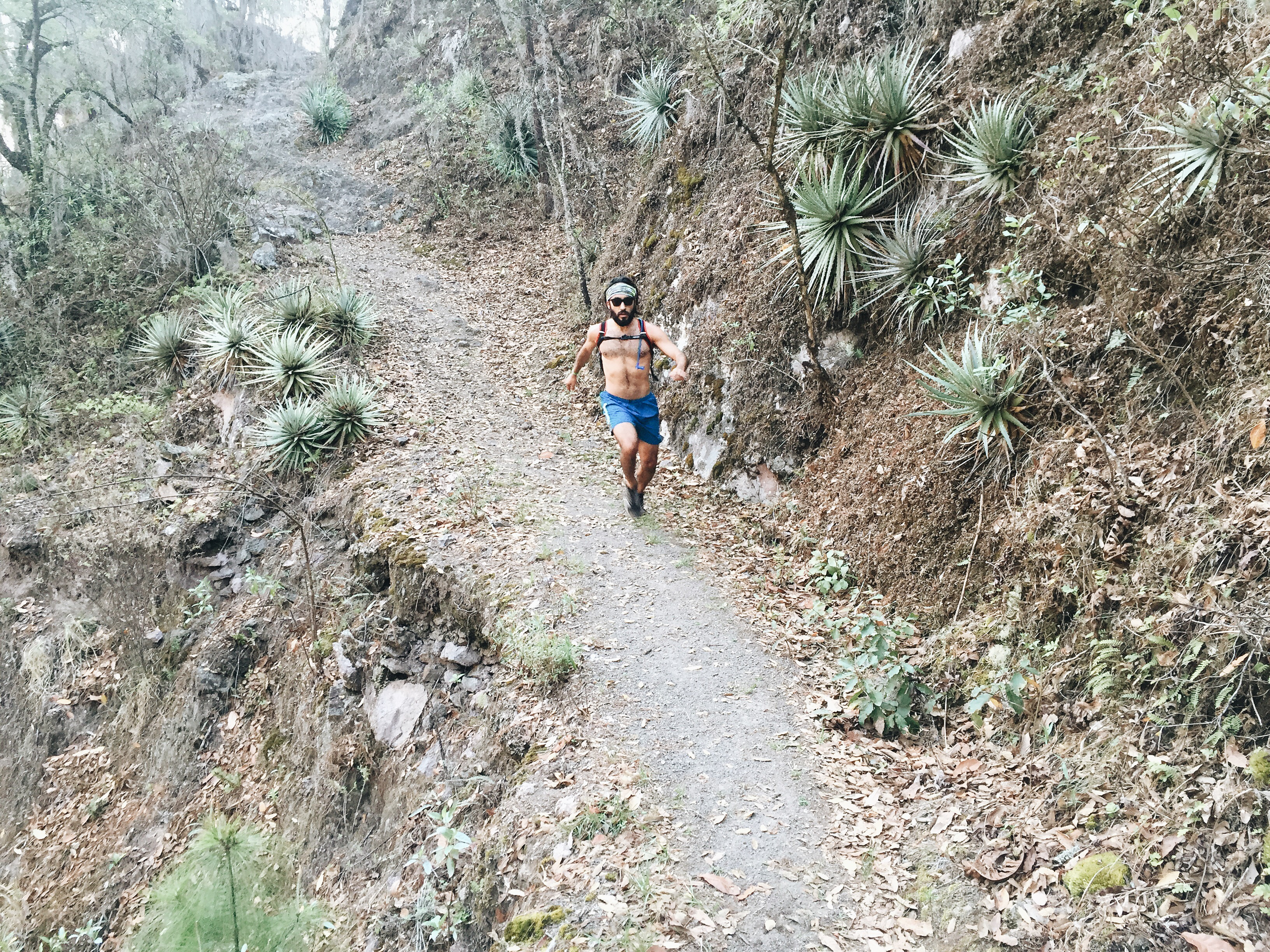 Camino Real from Amatlán to Latuvi