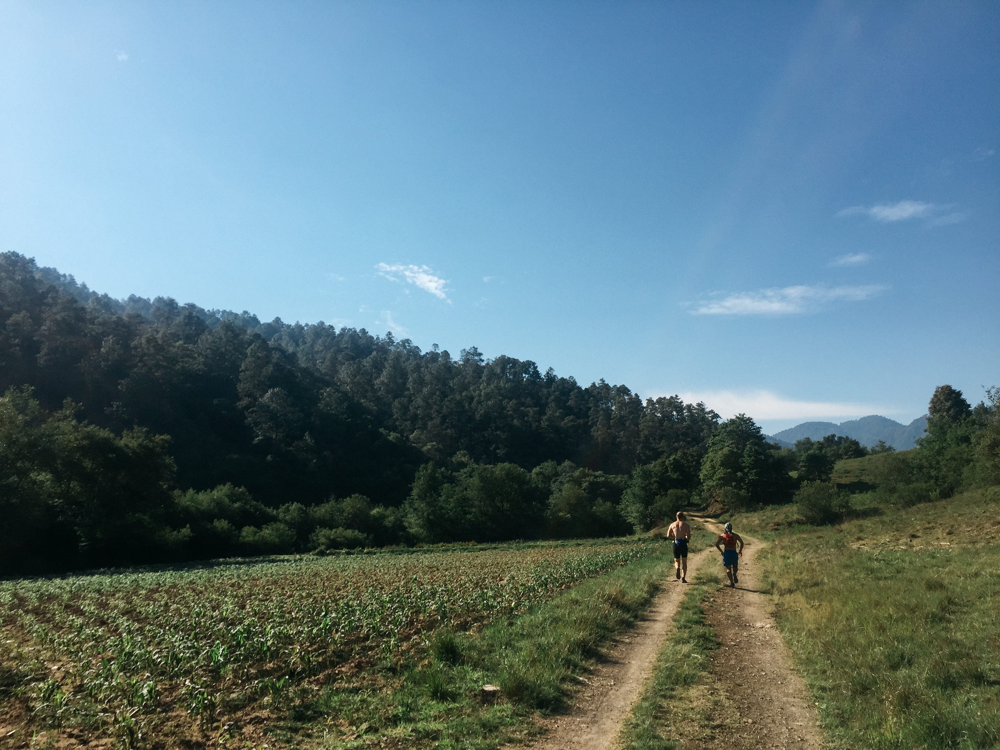 Camino Real from Amatlán to Latuvi