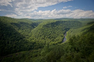 Hike Leonard Harrison SP's Overlook Trail to Otter View