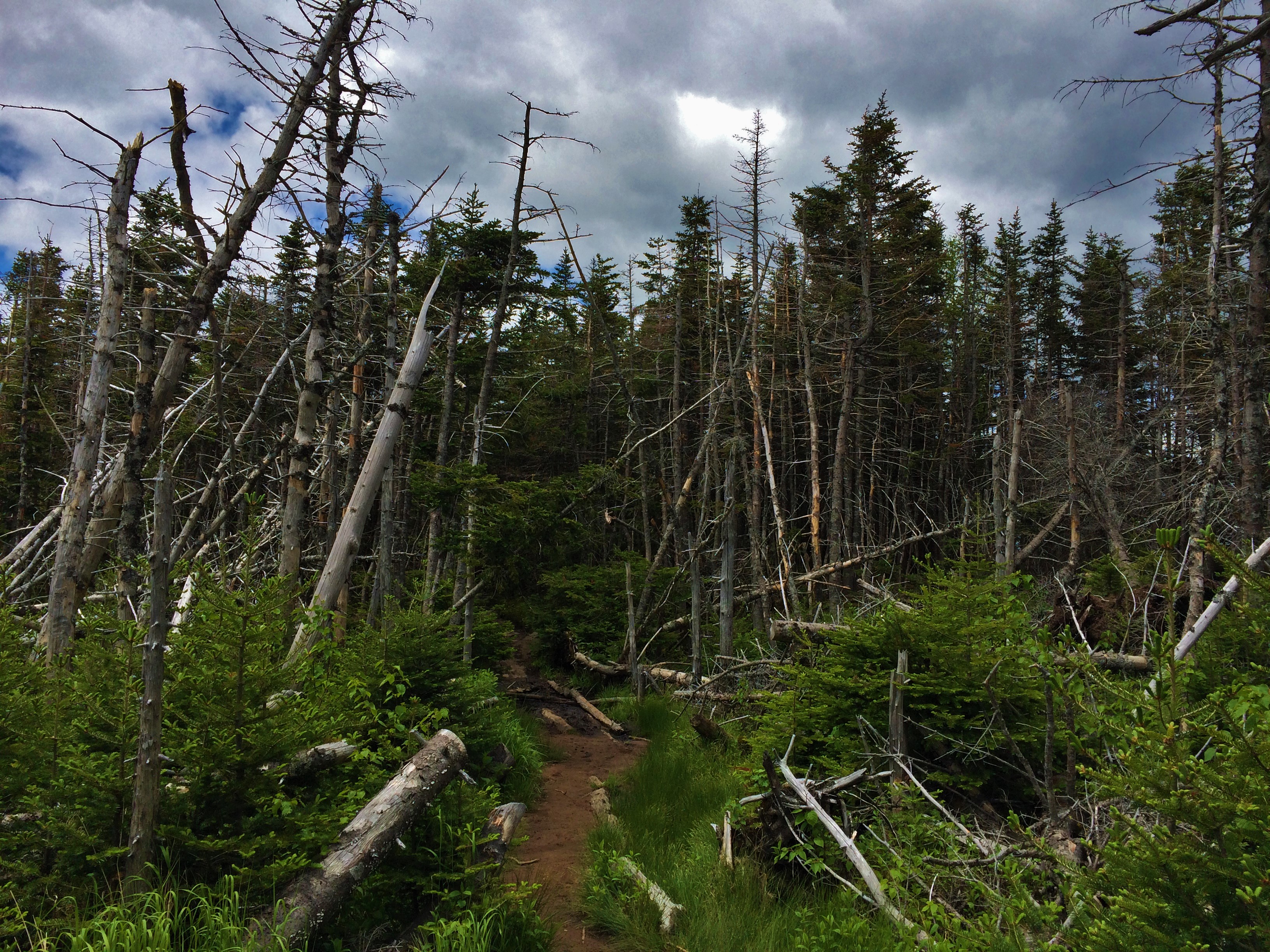 Great Range Traverse