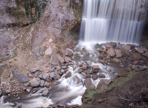 Photograph Webster's Falls