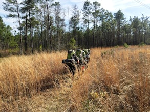 Backpack the Swamp Fox Passage from Witherby to Rt. 17