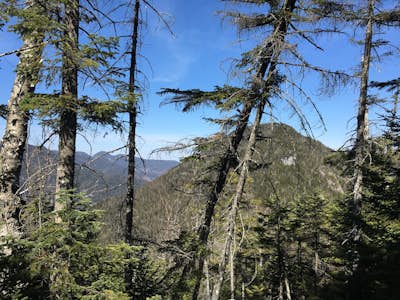 Hike to Mount Colvin and Blake Peak 