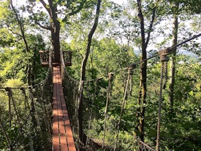 Trail Run to Skyhy Tree House at Red Mountain Park