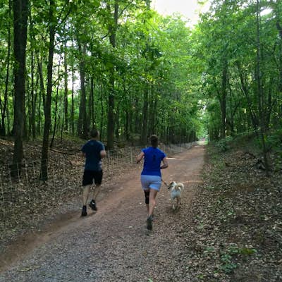 Trail Run to Skyhy Tree House at Red Mountain Park