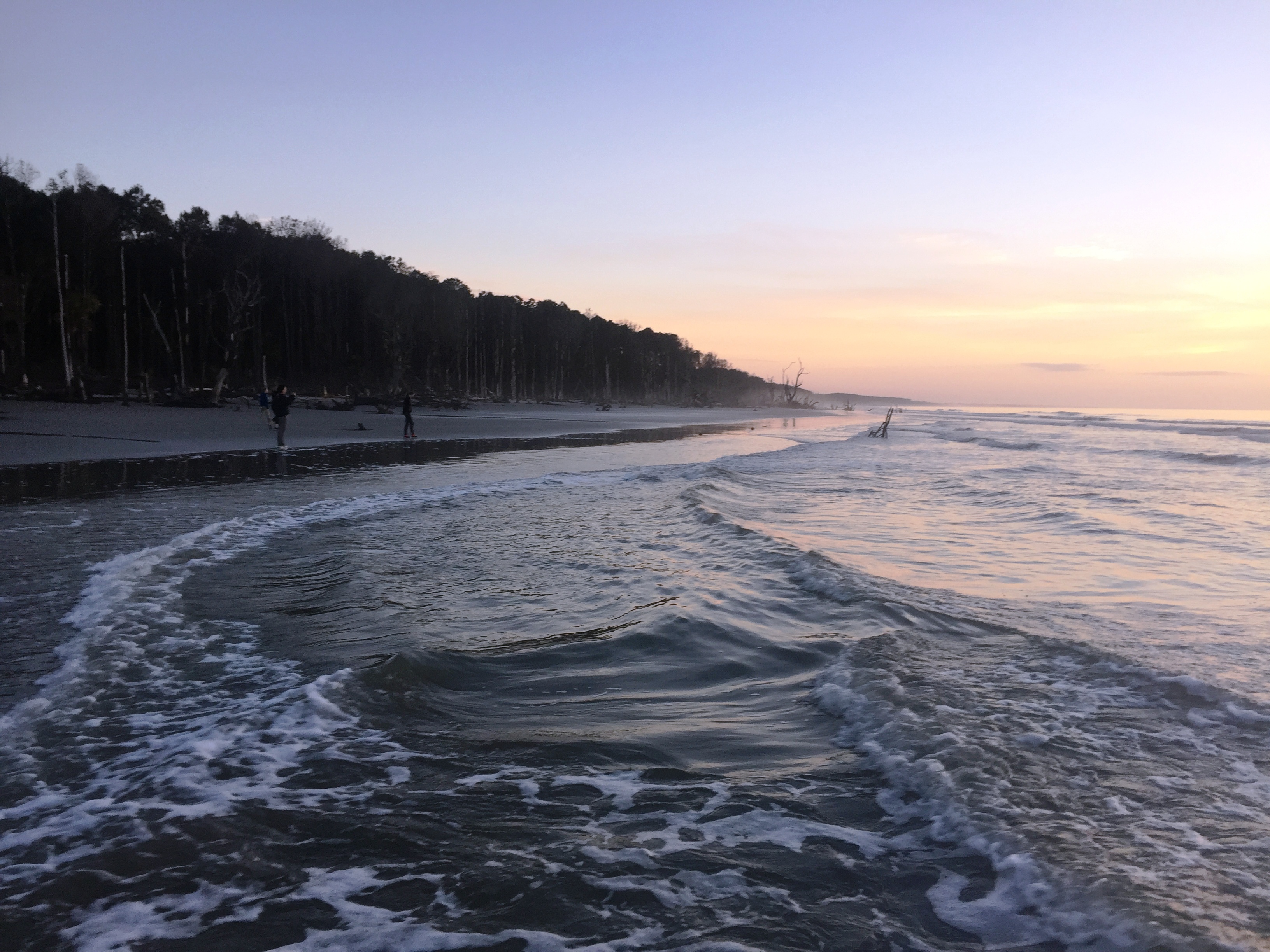 Photo of Kayak Camp on Capers Island