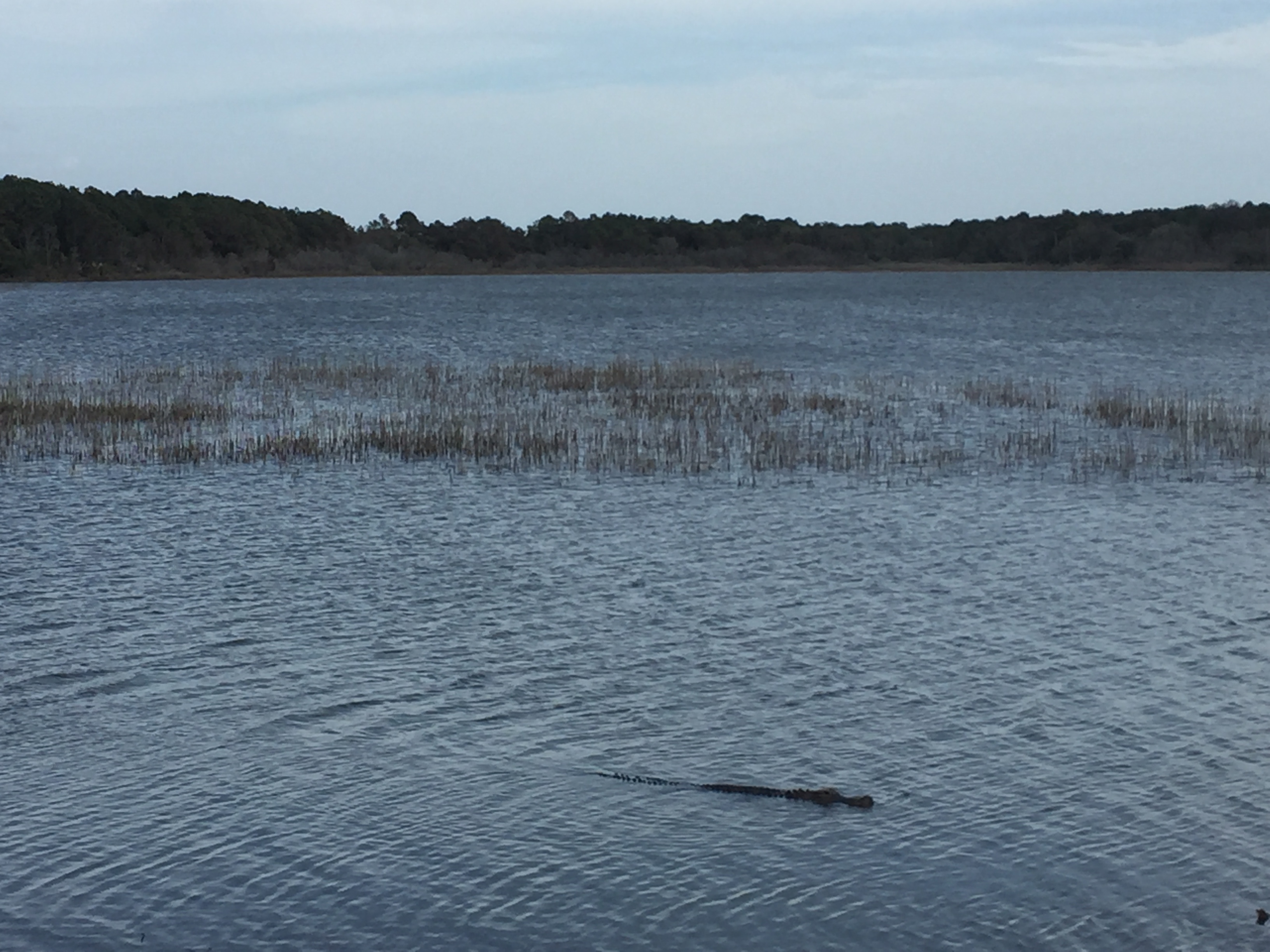 Capers Island 