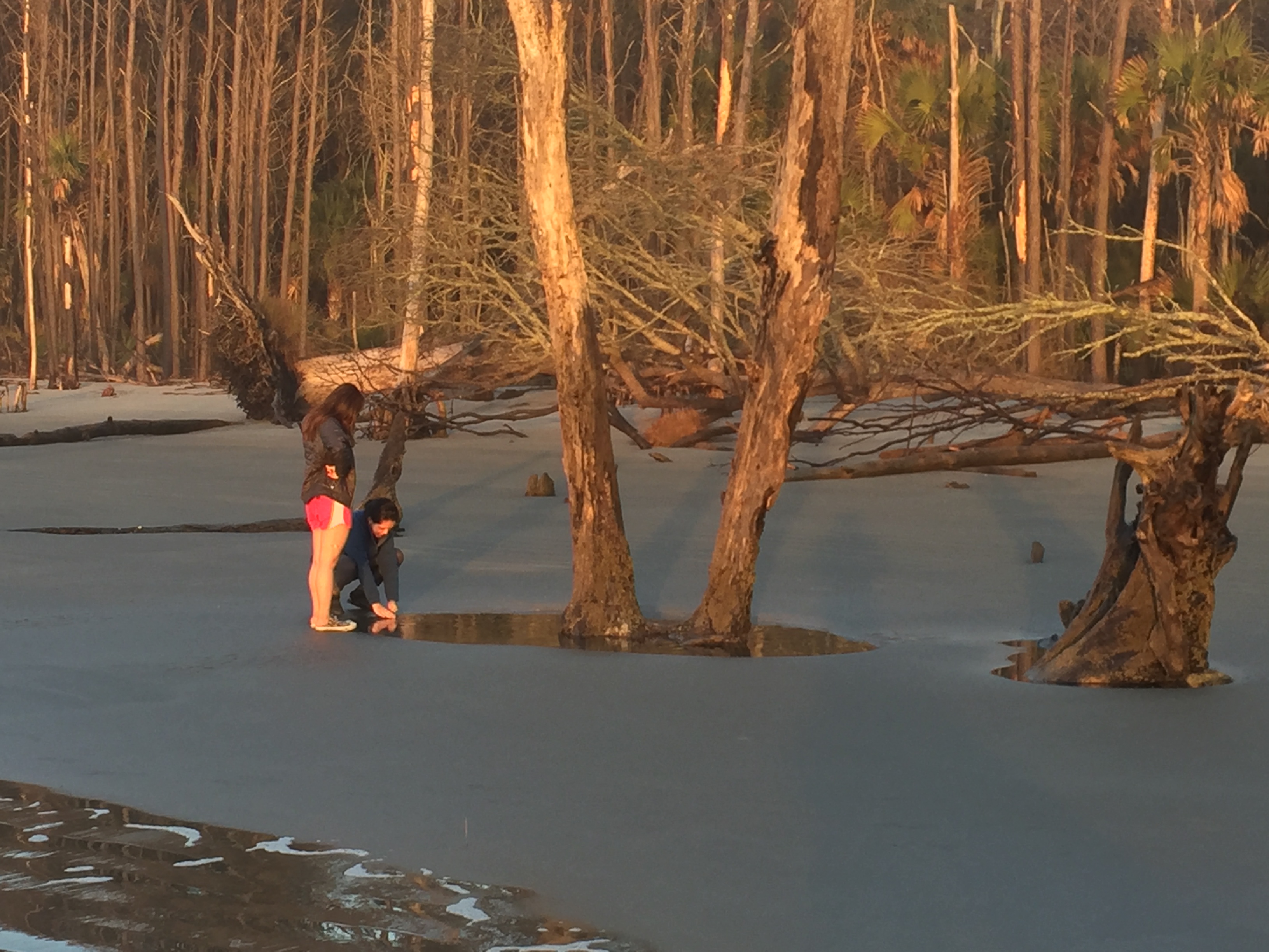 Capers Island 