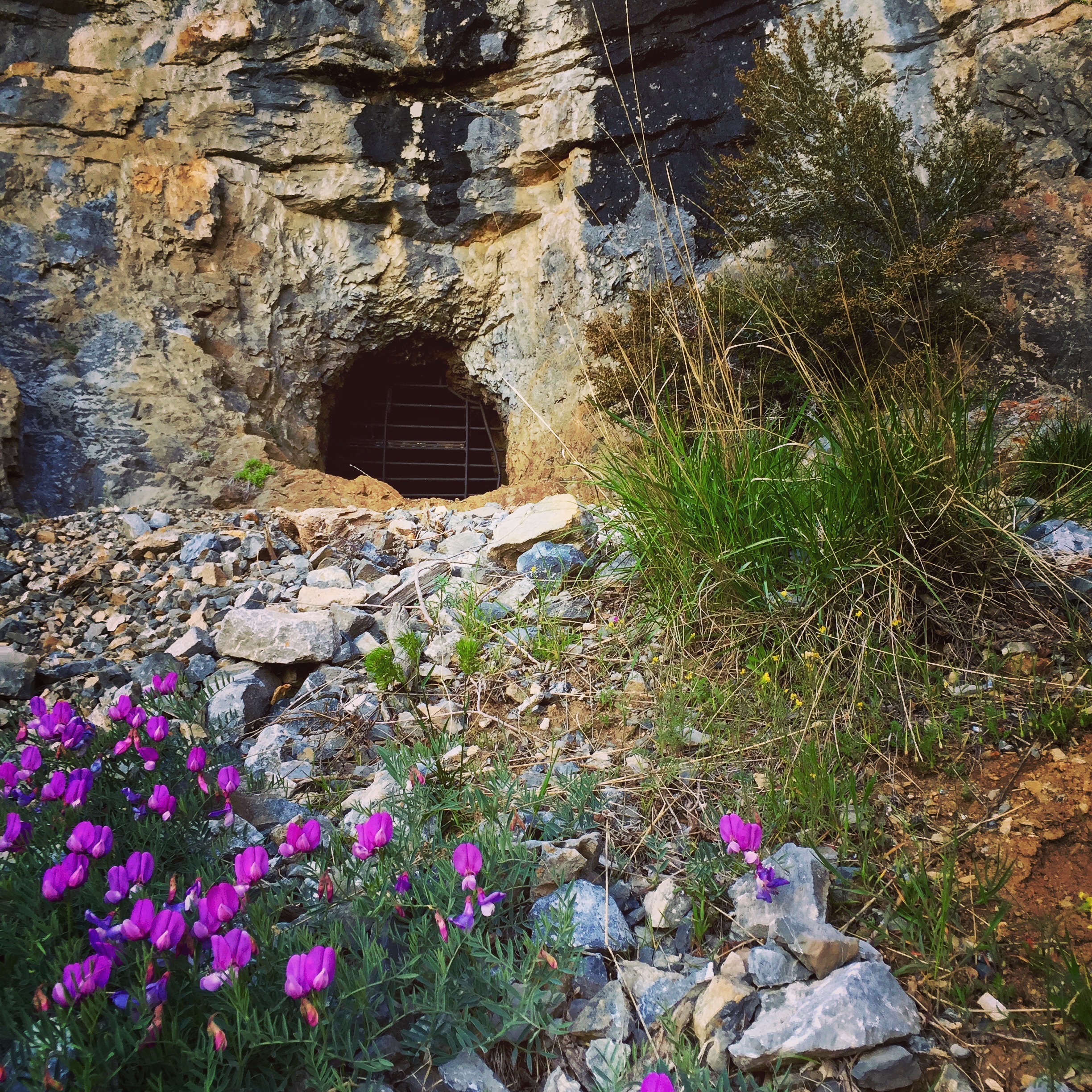 Hike to Buckley's Abandoned Mine