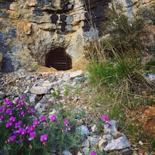 Hike to Buckley's Abandoned Mine