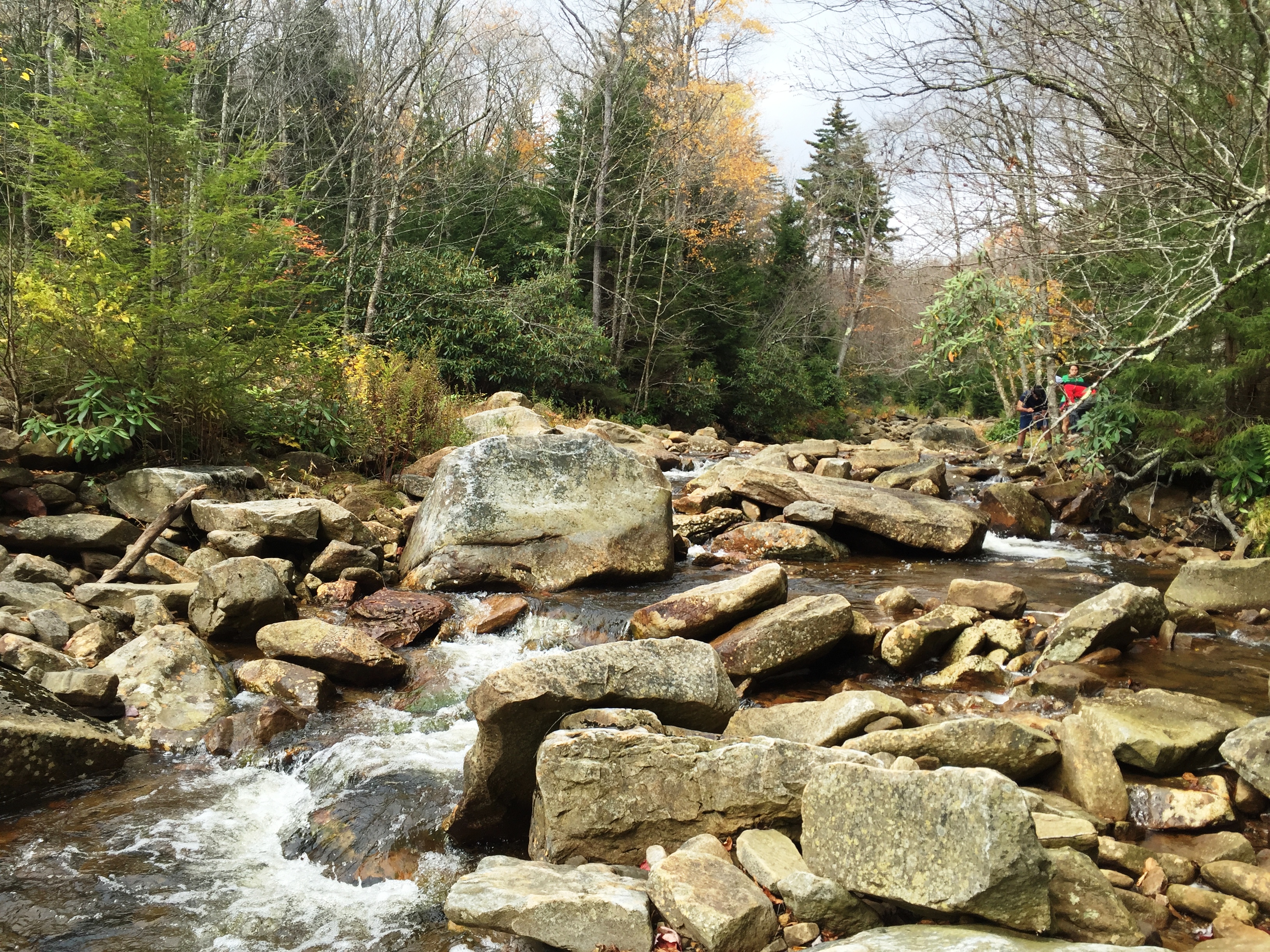 Photo of Backpacking the Dolly Sods Wilderness - E7e354a9b4f627642f9b049D094b8be4?w=1200&h=630&fit=crop&Dpr=1&q=60&s=25e1e68385aa26D408ffbf810103ec90