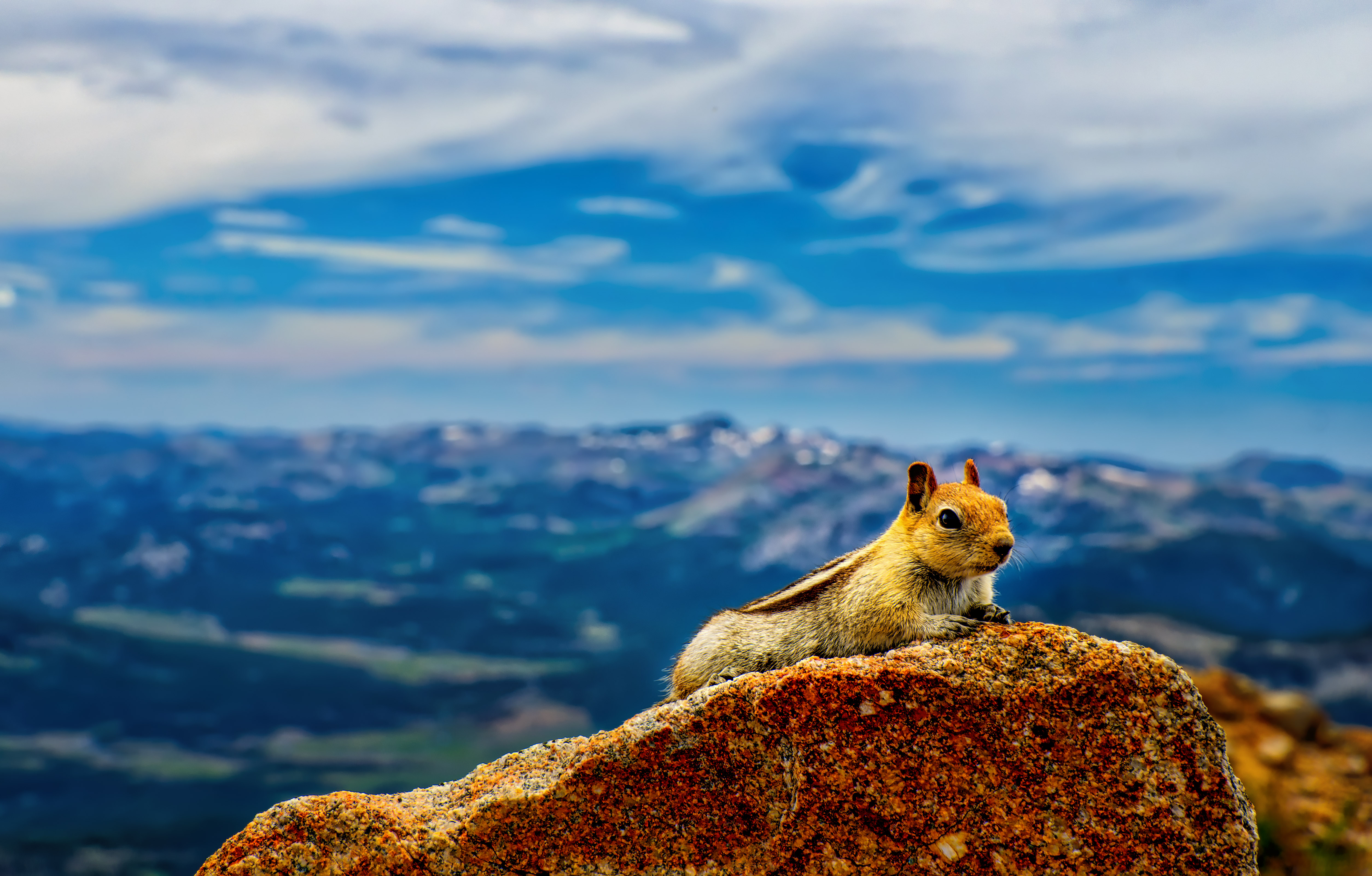 Hike to Freel Peak