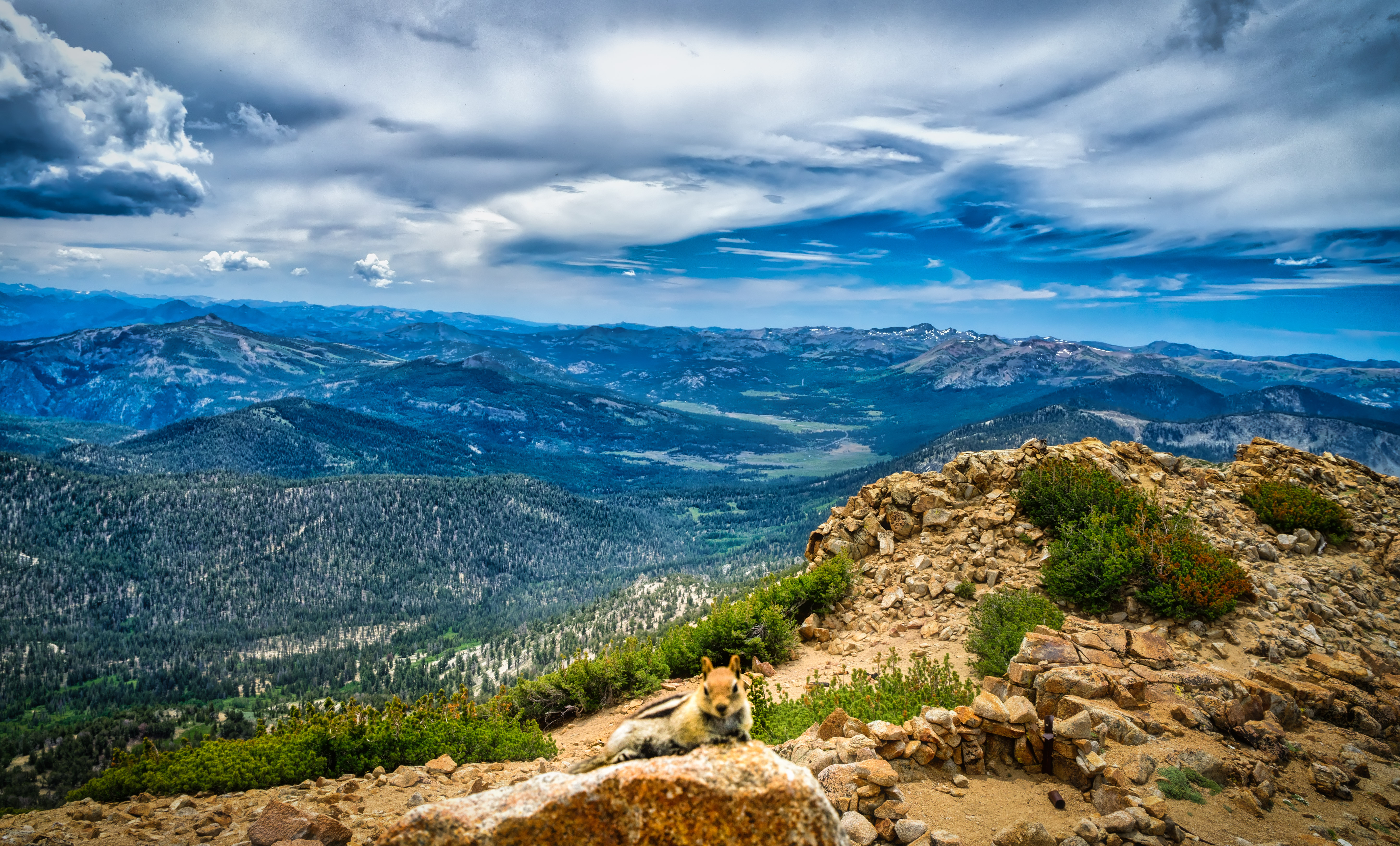 Hike to Freel Peak