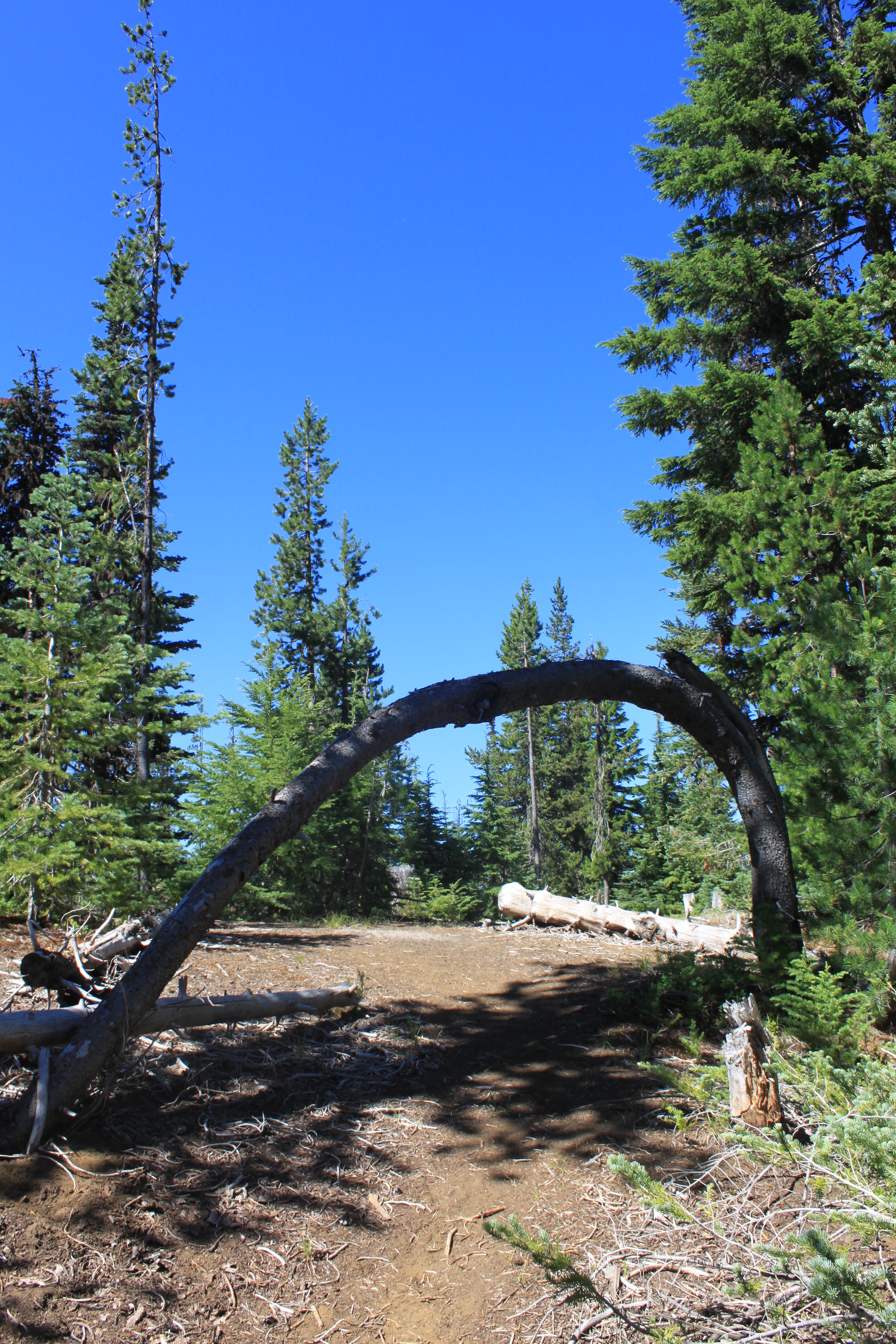 Camp at Lava Lake