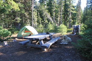 Camp at Lava Lake