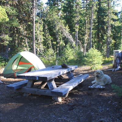 Camp at Lava Lake