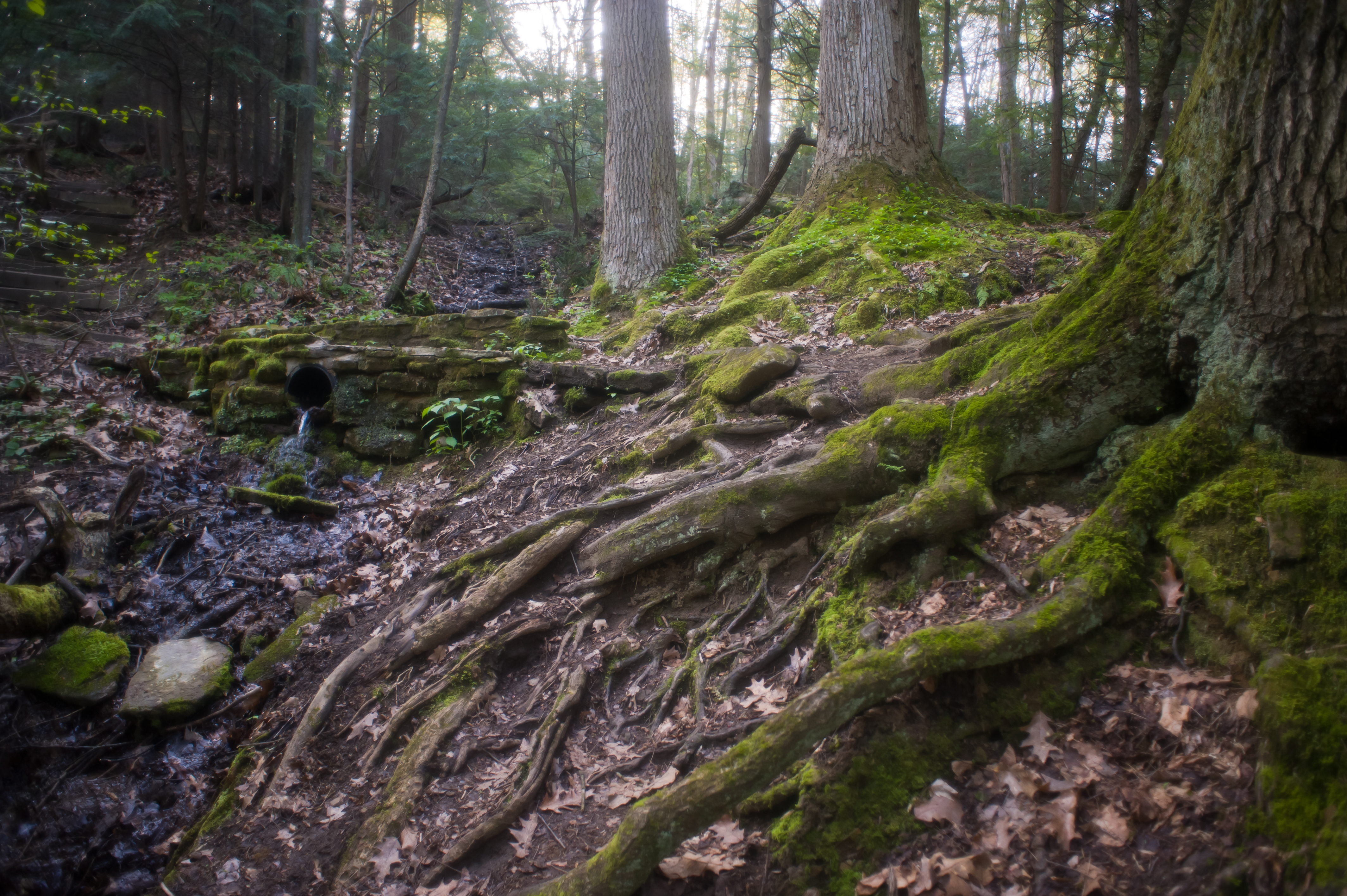 Hike the Alpha Pass Trail