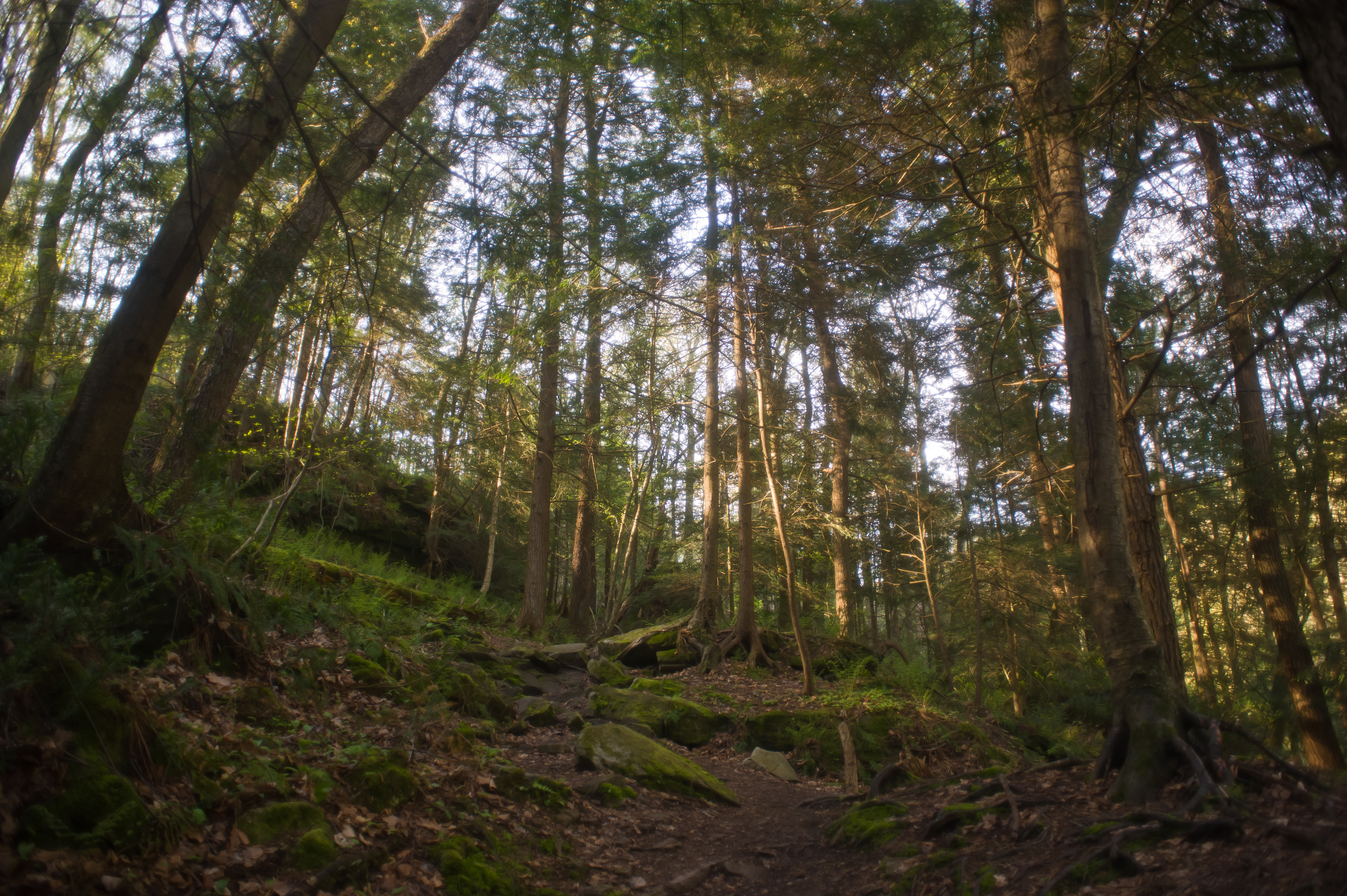 Hike the Alpha Pass Trail