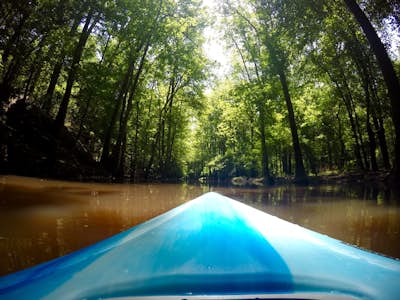 Kayak Cedar Creek at Congaree NP