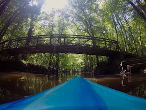 Kayak Cedar Creek at Congaree NP