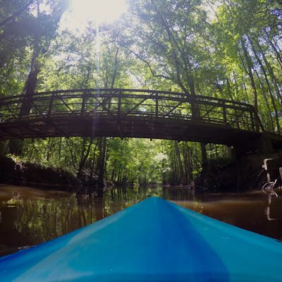 Kayak Cedar Creek at Congaree NP