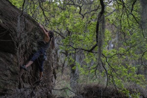 Bouldering in Tlaxcala